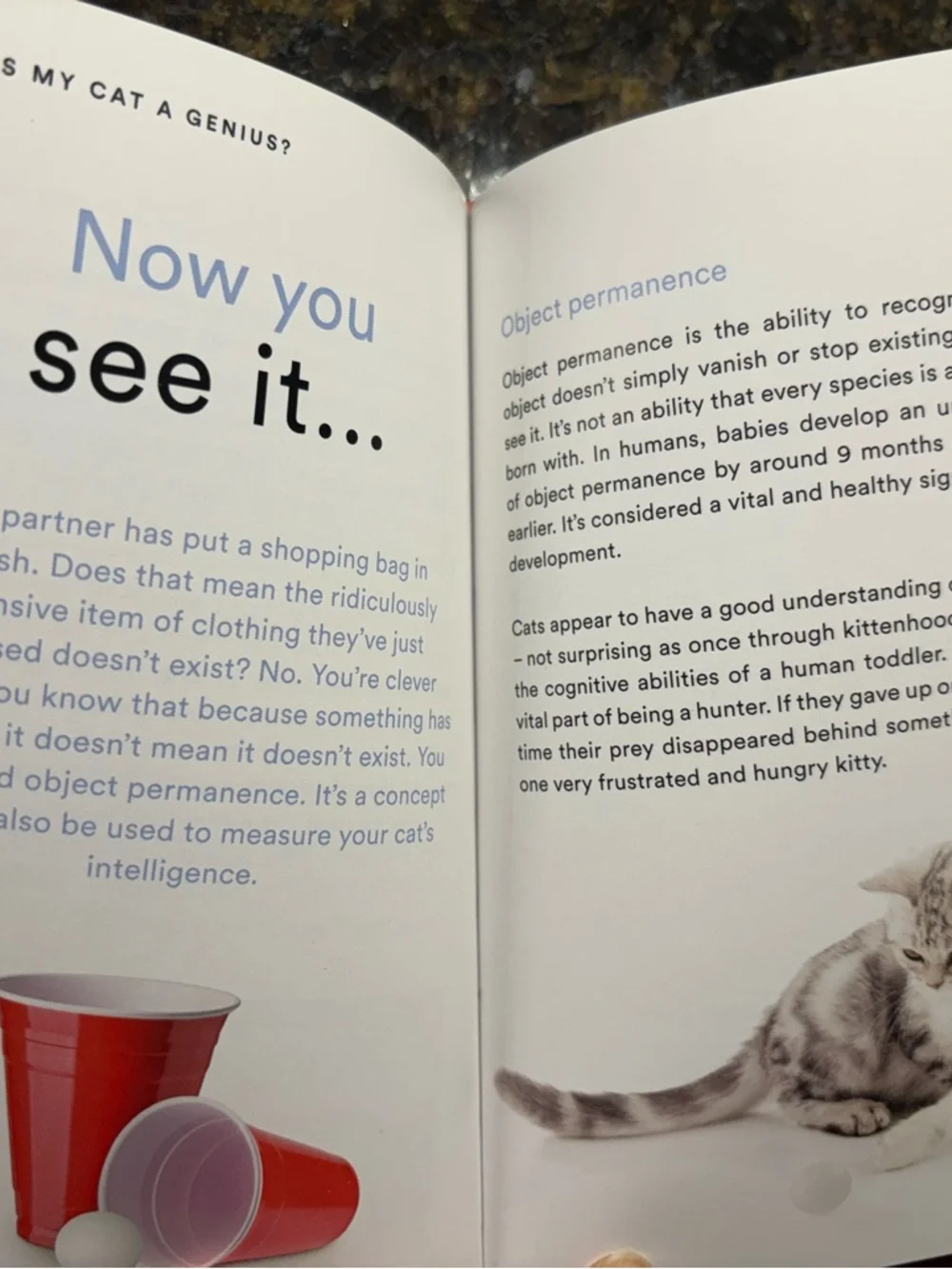 Is My Cat a Genius? Fun Cat-Themed Book